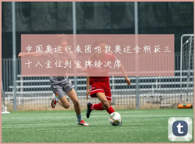 中国奥运代表团伦敦奥运会斩获三十八金位列金牌榜次席