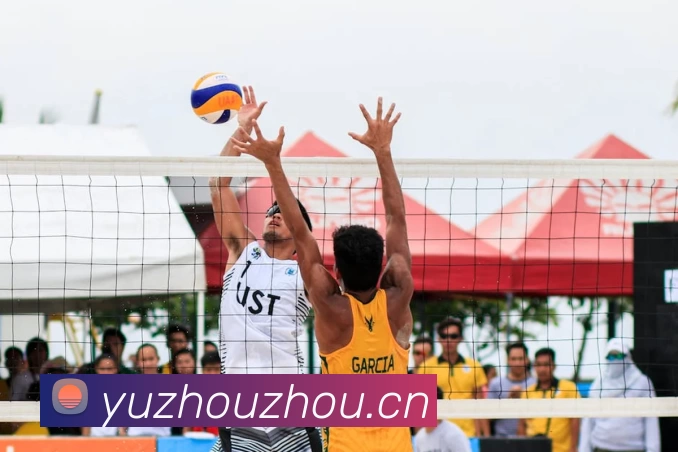 Bsports官方网站登录入口发展历程